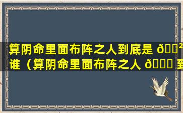 算阴命里面布阵之人到底是 🌲 谁（算阴命里面布阵之人 🐅 到底是谁）